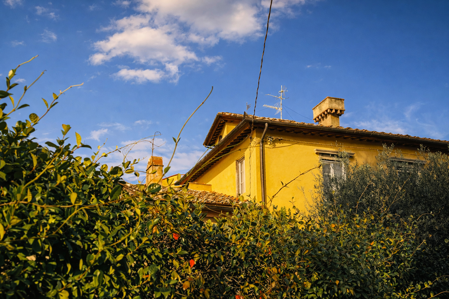 Tuscany 2022 photo 1